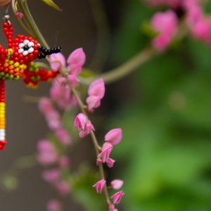 Brinco de Miçanga - Beija-Flor