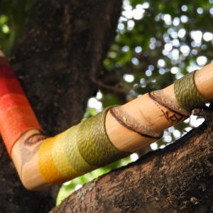 Tepi Actrus - Cores da Floresta